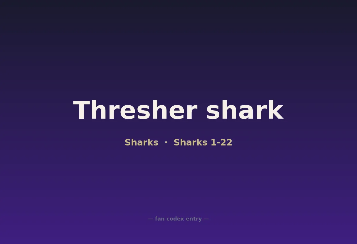 Thresher shark
